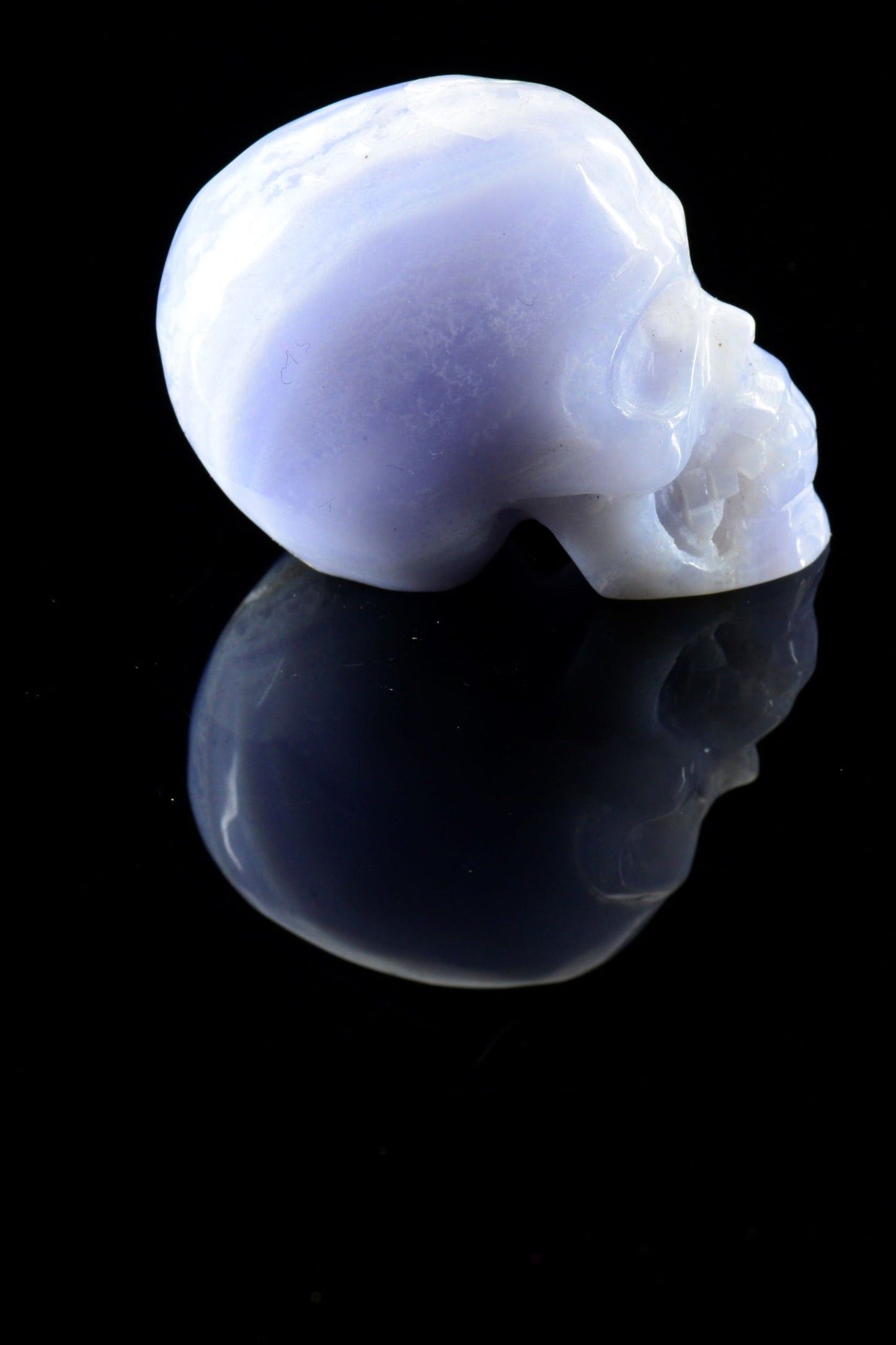 Blue Lace Agate Skull