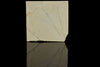Sapindopsis Lebanese Fossilised Leaf
