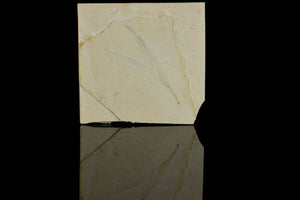 Sapindopsis Lebanese Fossilised Leaf