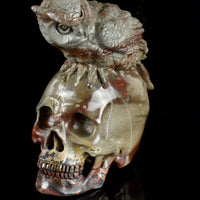 Fossil Stone with an Owl