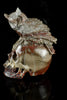 Fossil Stone with an Owl