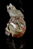 Fossil Stone with an Owl