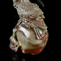 Fossil Stone with an Owl