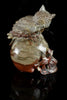 Fossil Stone with an Owl