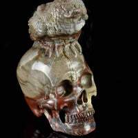 Fossil Stone with an Owl