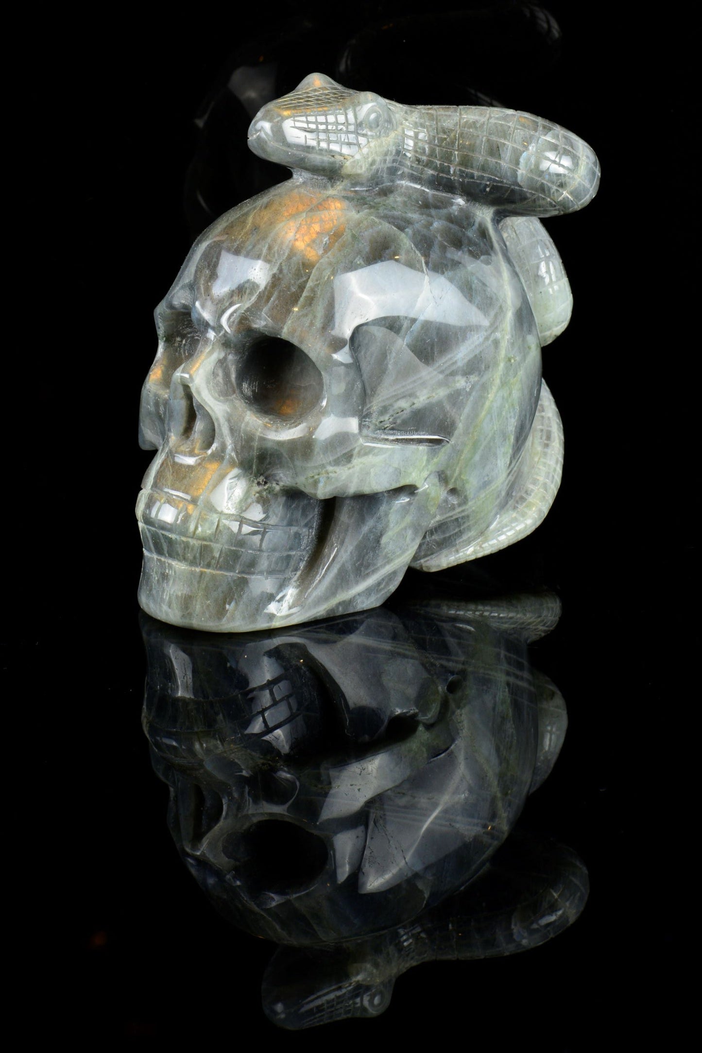 Labradorite Snake on a Skull