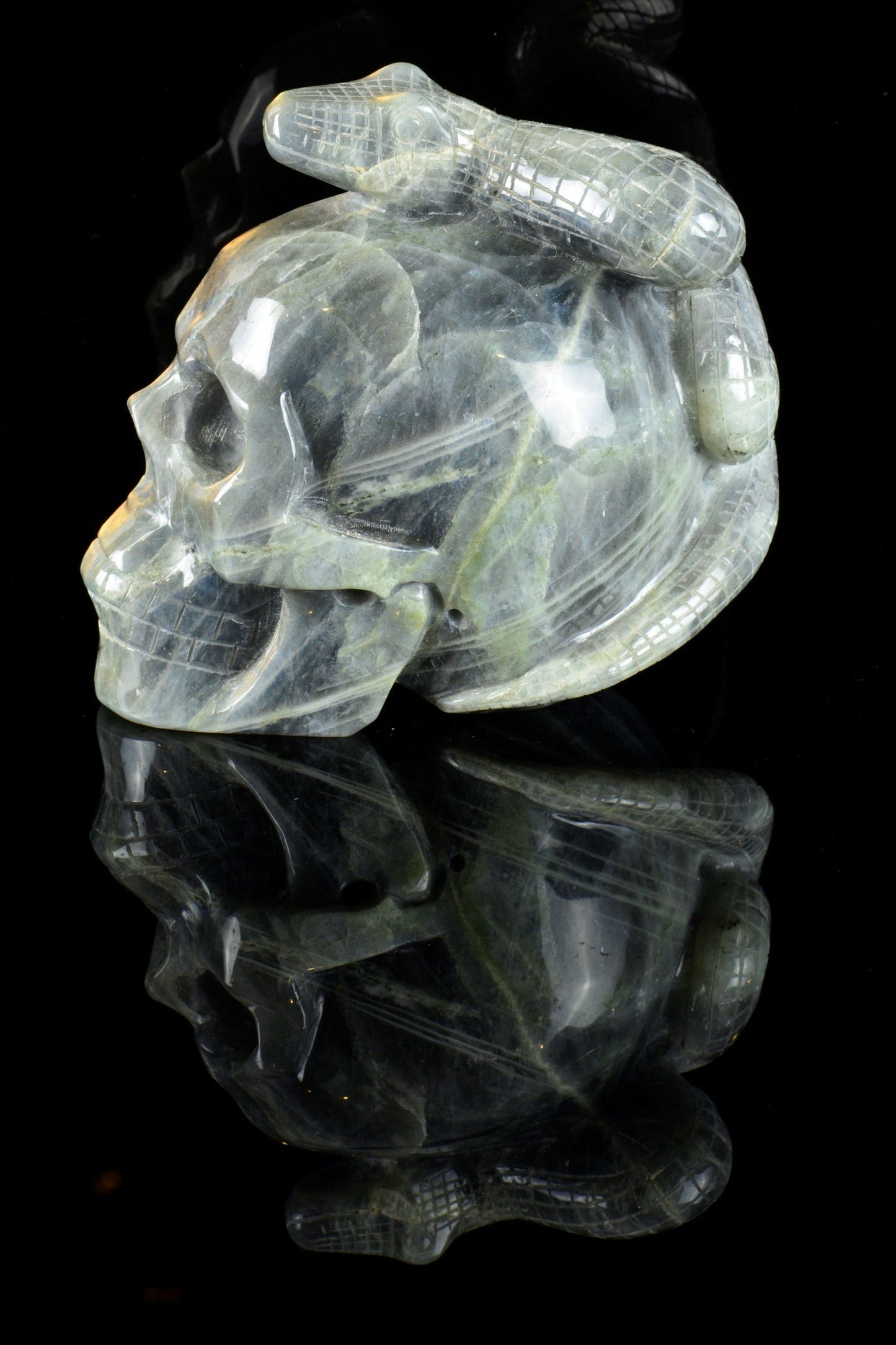 Labradorite Snake on a Skull