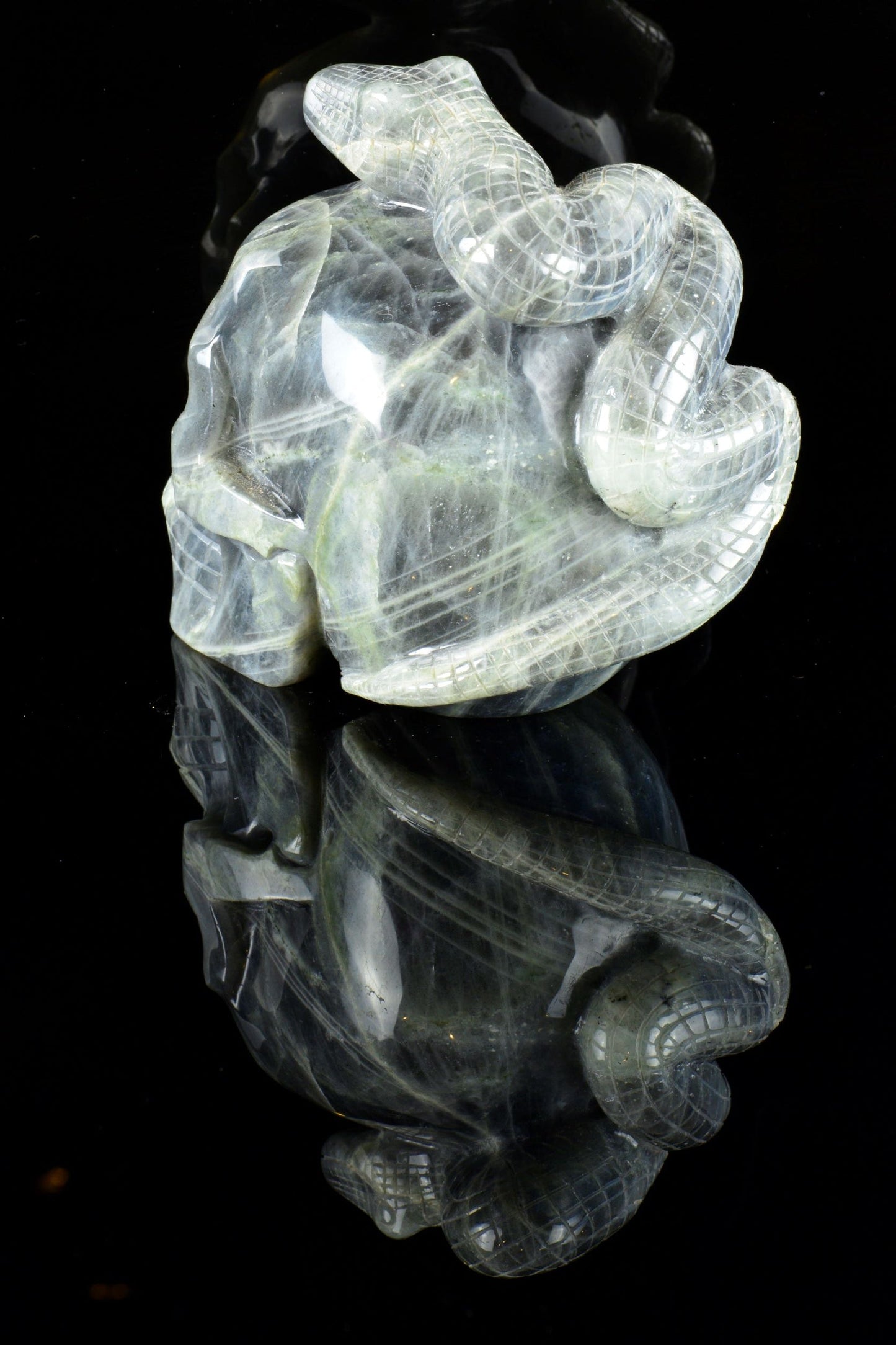 Labradorite Snake on a Skull