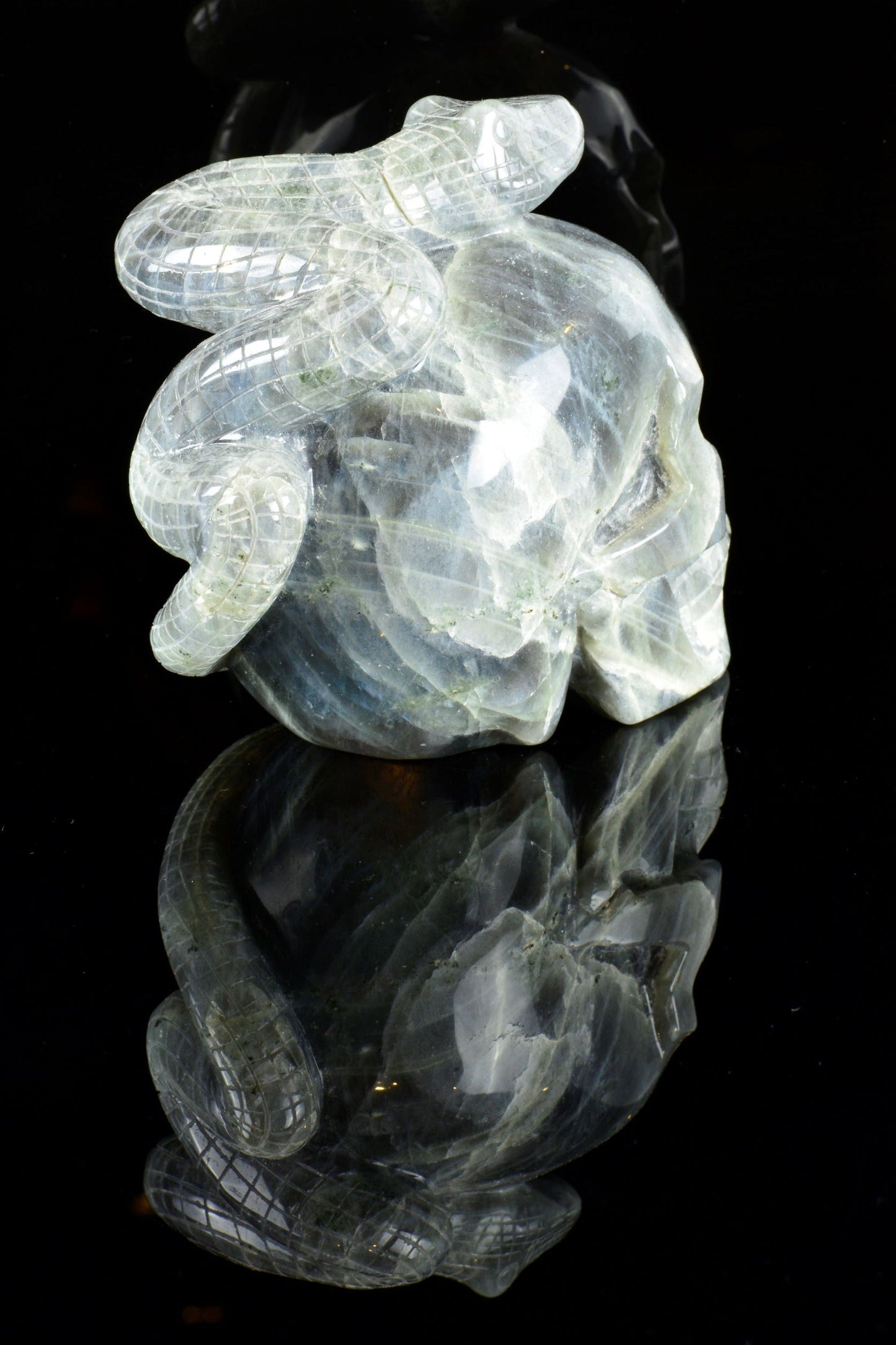 Labradorite Snake on a Skull