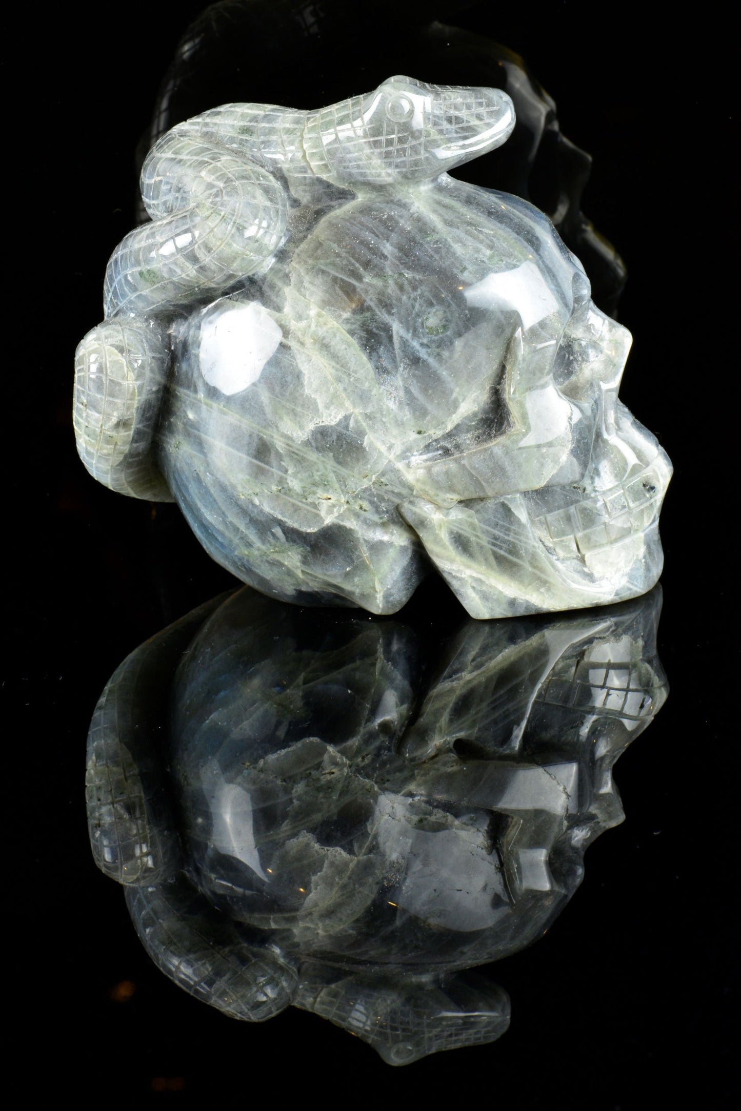 Labradorite Snake on a Skull