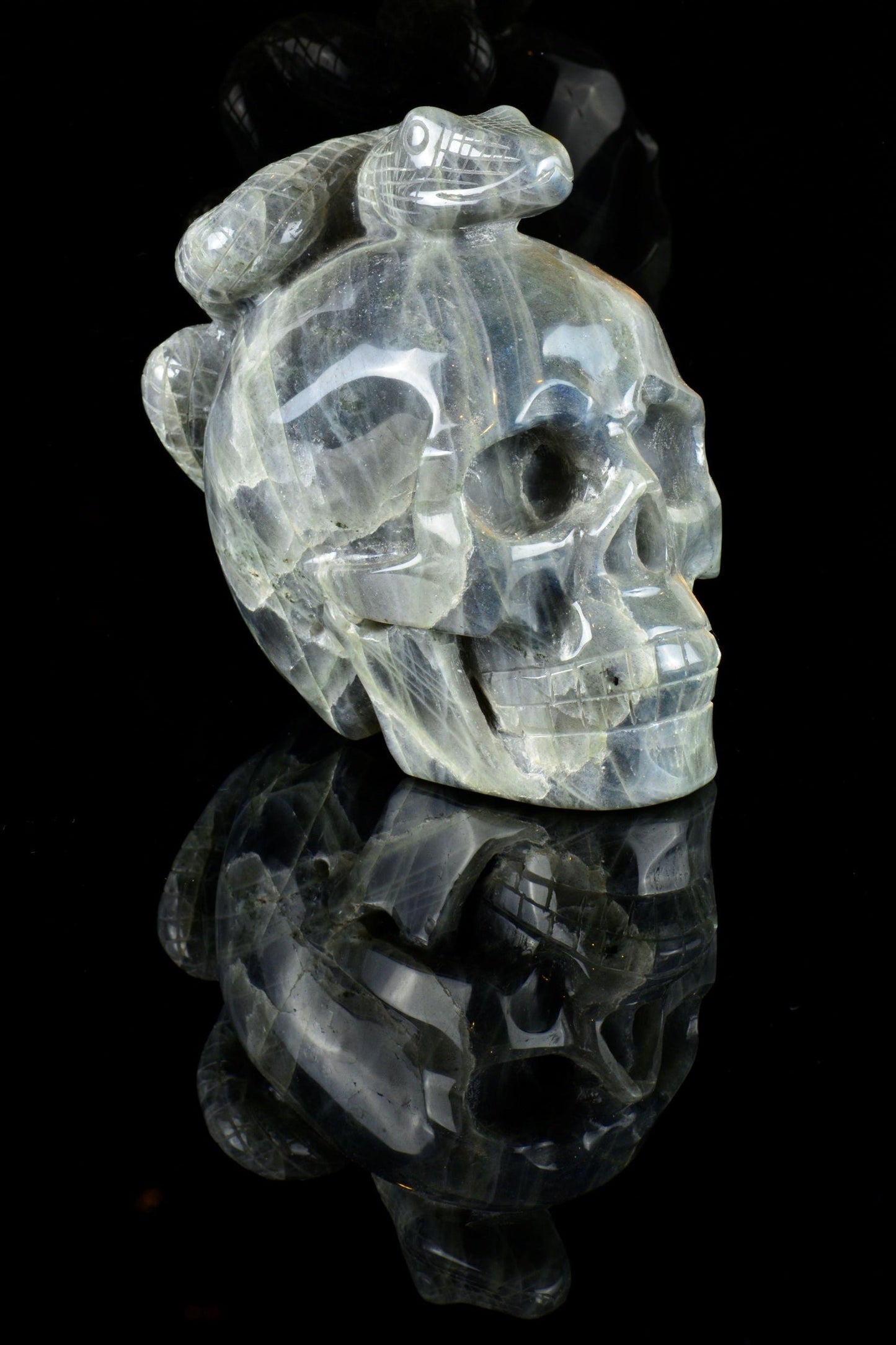 Labradorite Snake on a Skull
