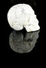 Howlite Sugar Skull