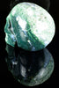 Moss Agate Skull