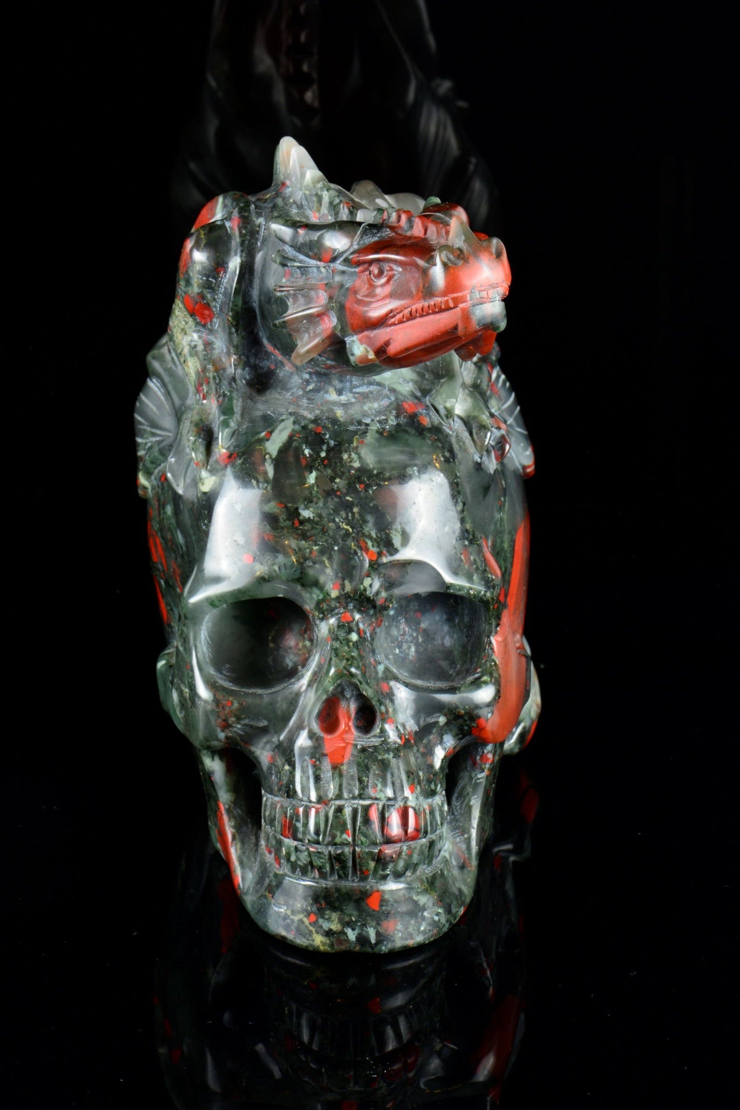 African Bloodstone Dragon on Skull