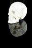 Howlite Sugar Skull