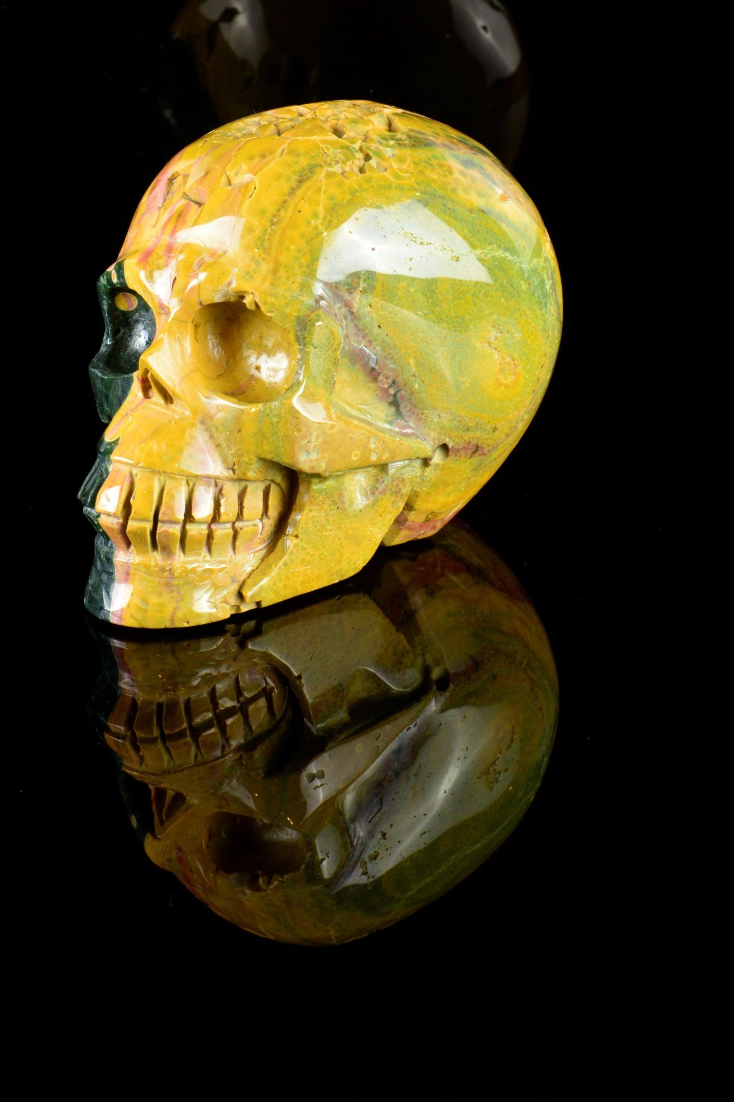 Ocean Jasper Skull