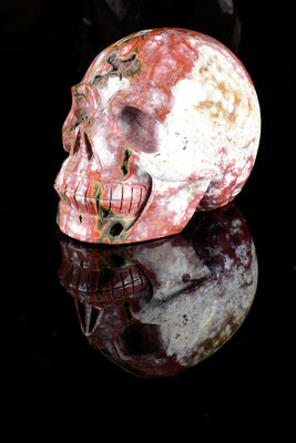 Ocean Jasper Skull