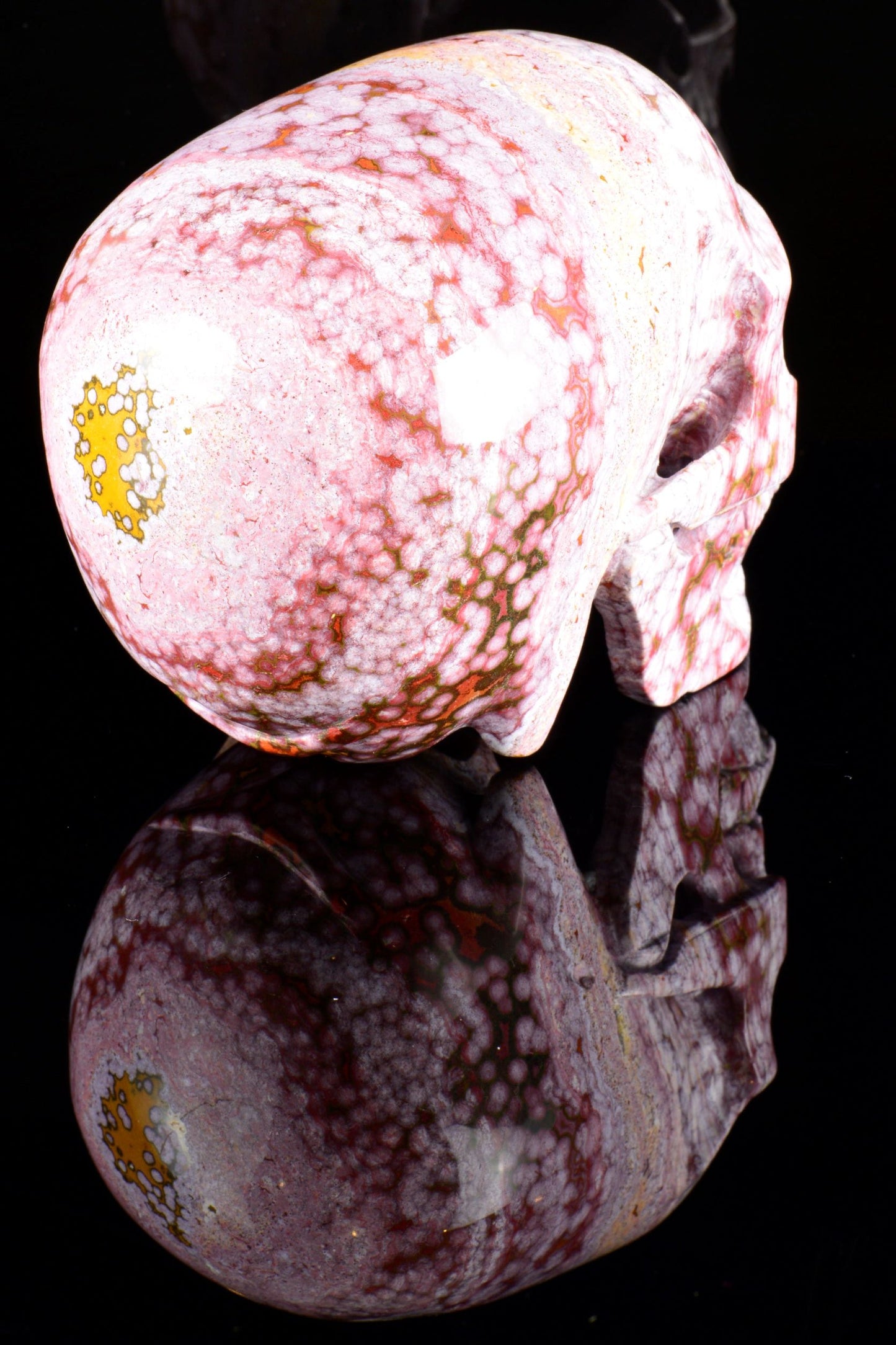 Ocean Jasper Skull