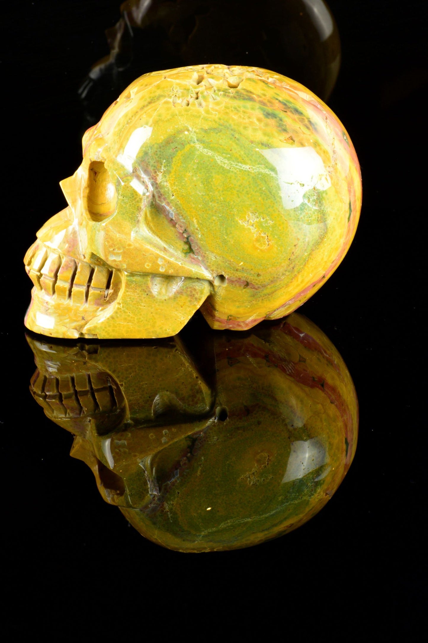 Ocean Jasper Skull