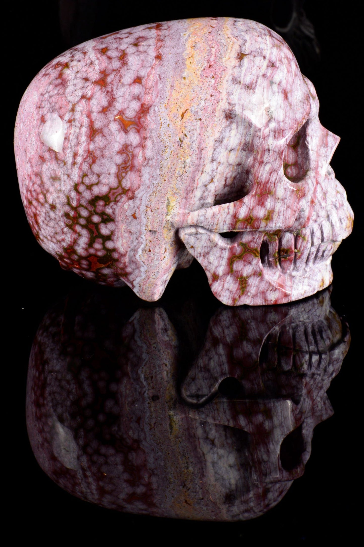 Ocean Jasper Skull