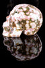 Ocean Jasper Skull