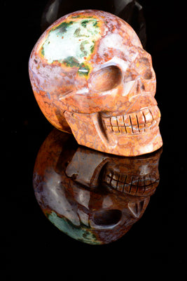 Ocean Jasper Skull