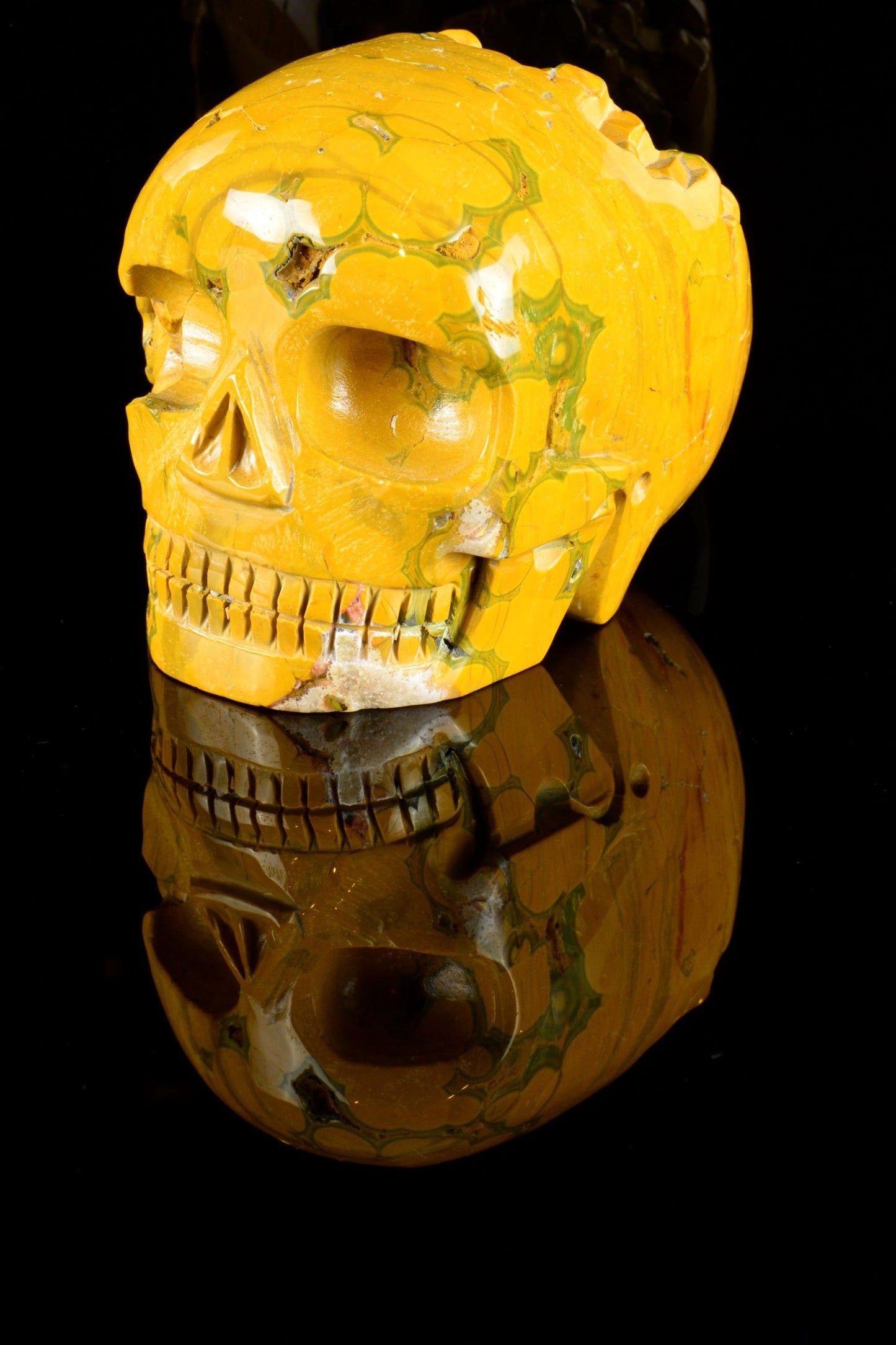 Ocean Jasper Skull