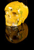 Ocean Jasper Skull