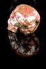 Ocean Jasper Skull
