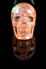 Ocean Jasper Skull