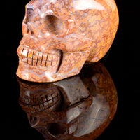 Ocean Jasper Skull