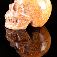 Ocean Jasper Skull