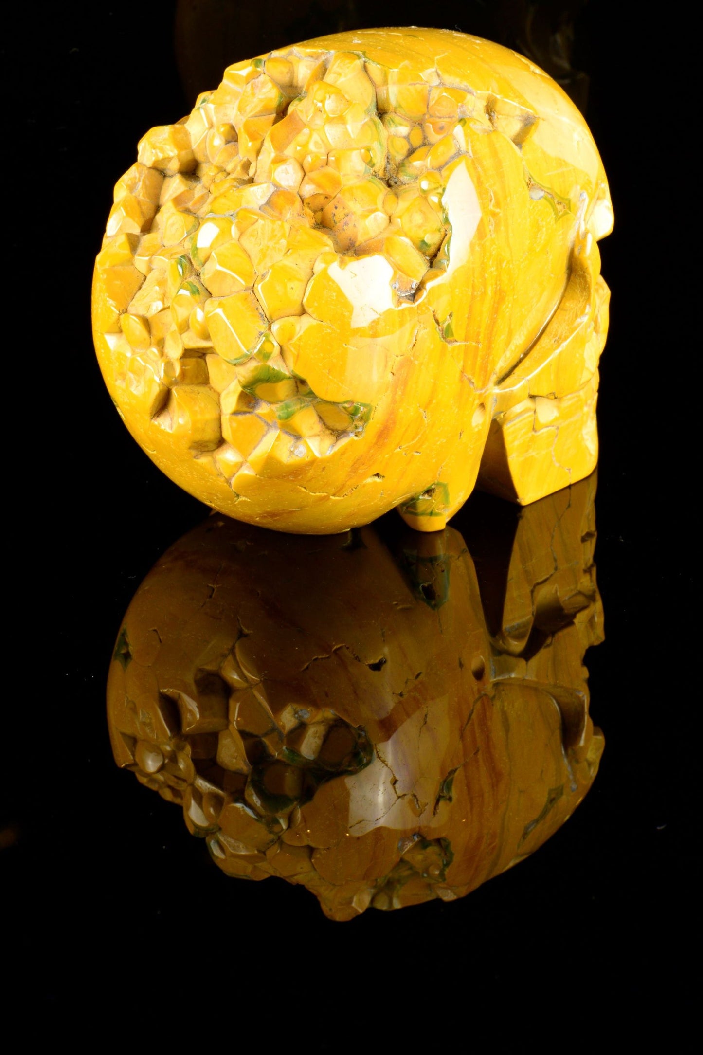 Ocean Jasper Skull
