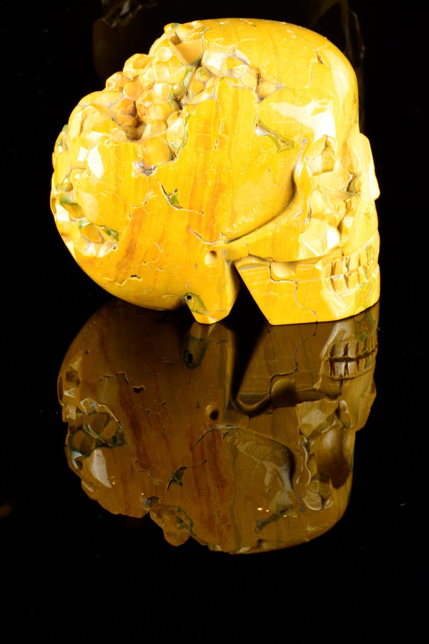 Ocean Jasper Skull