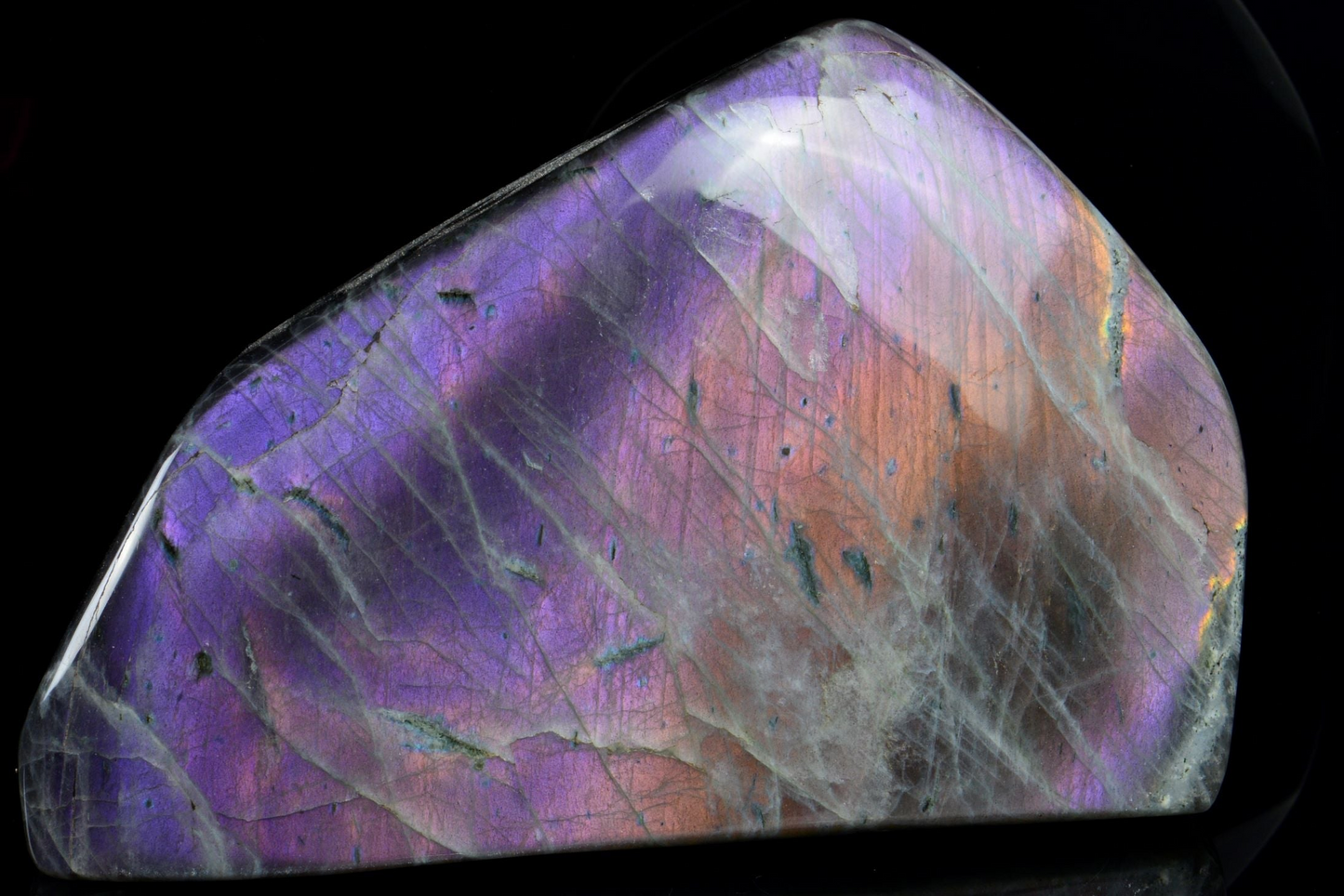 purple, peach and electric blue Labradorite with a black background