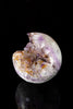 Amethyst with Hematite sprays Sphere