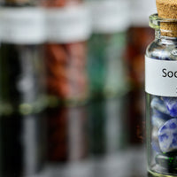 Chip Bottles 85 Varieties