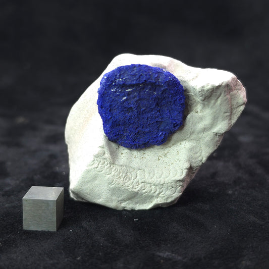 image-0
