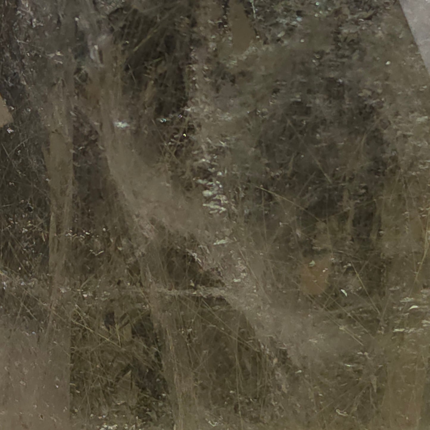 image-0