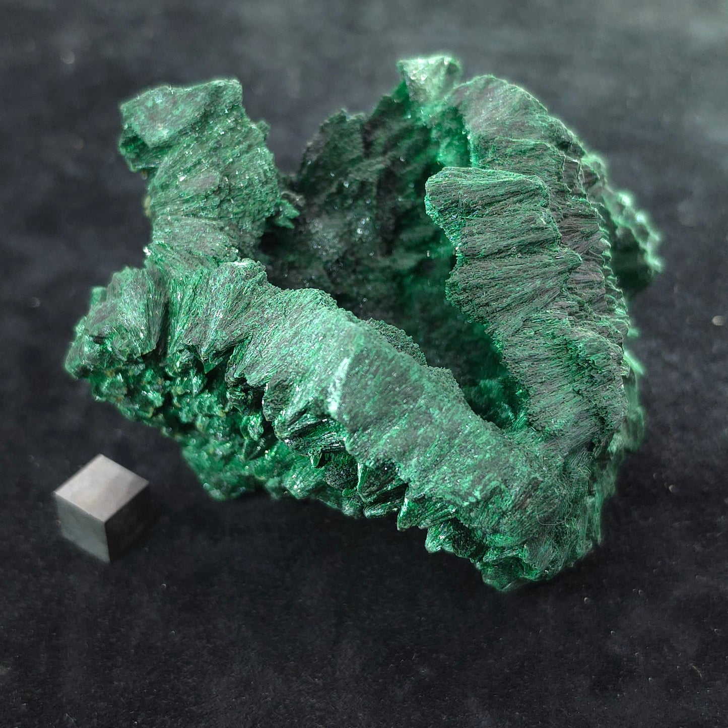 image-0