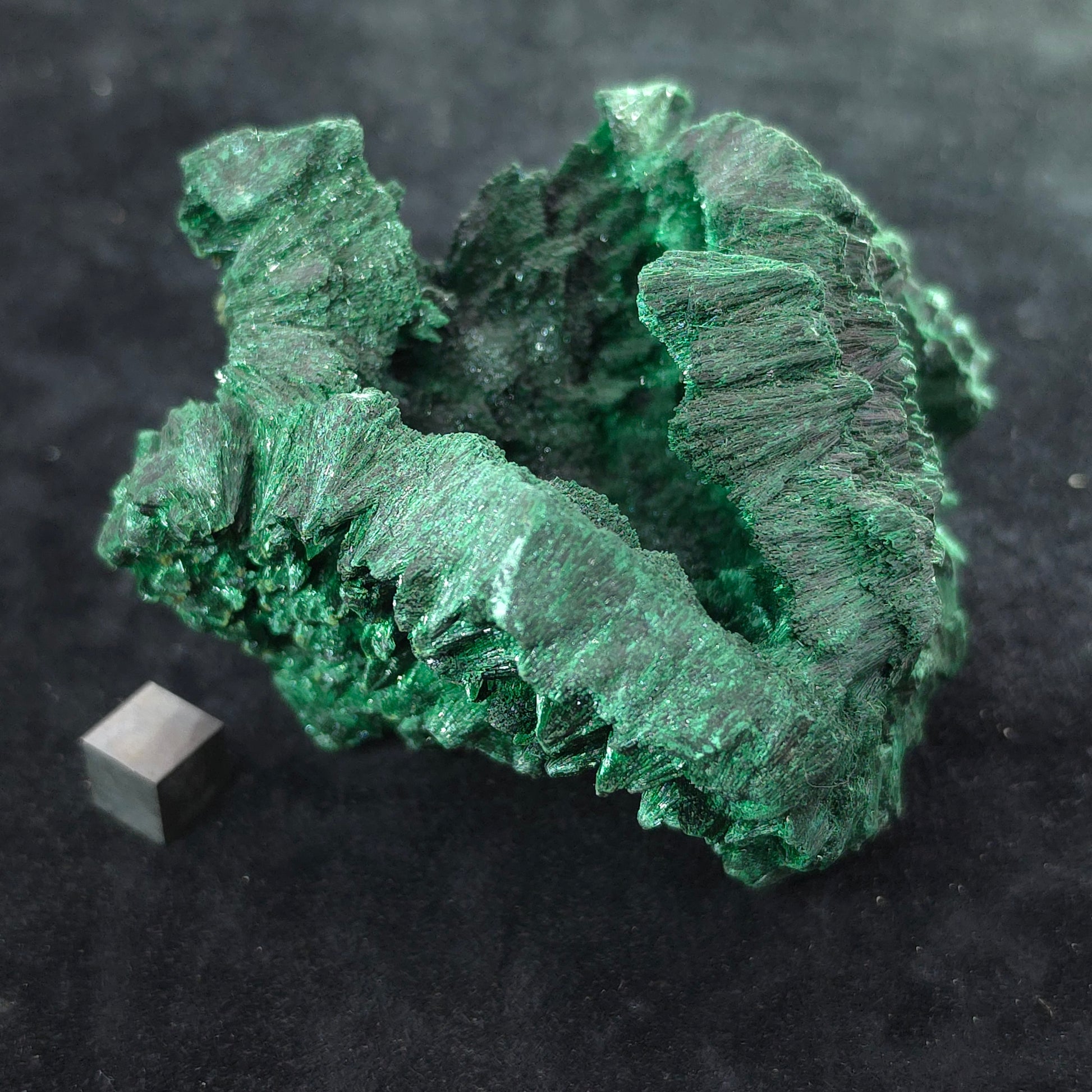 image-0
