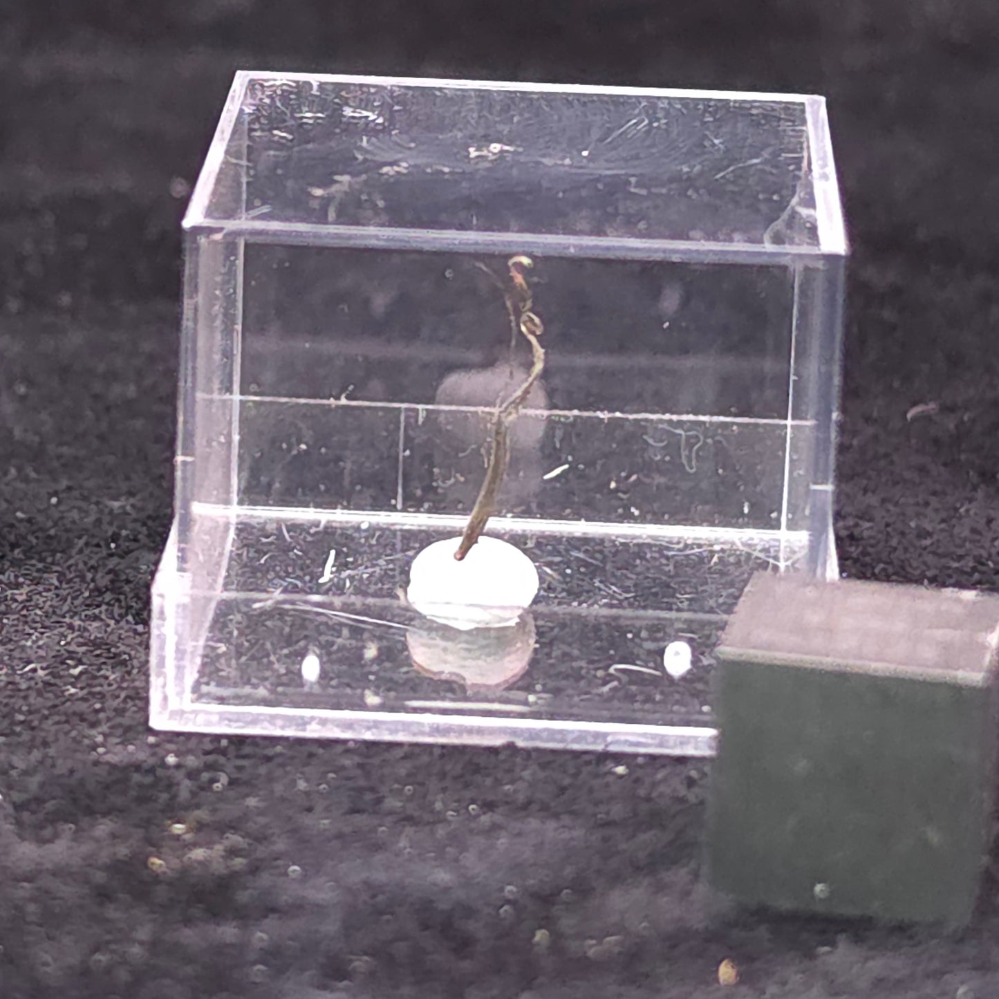 image-0