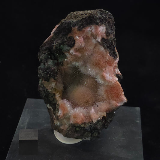 image-0