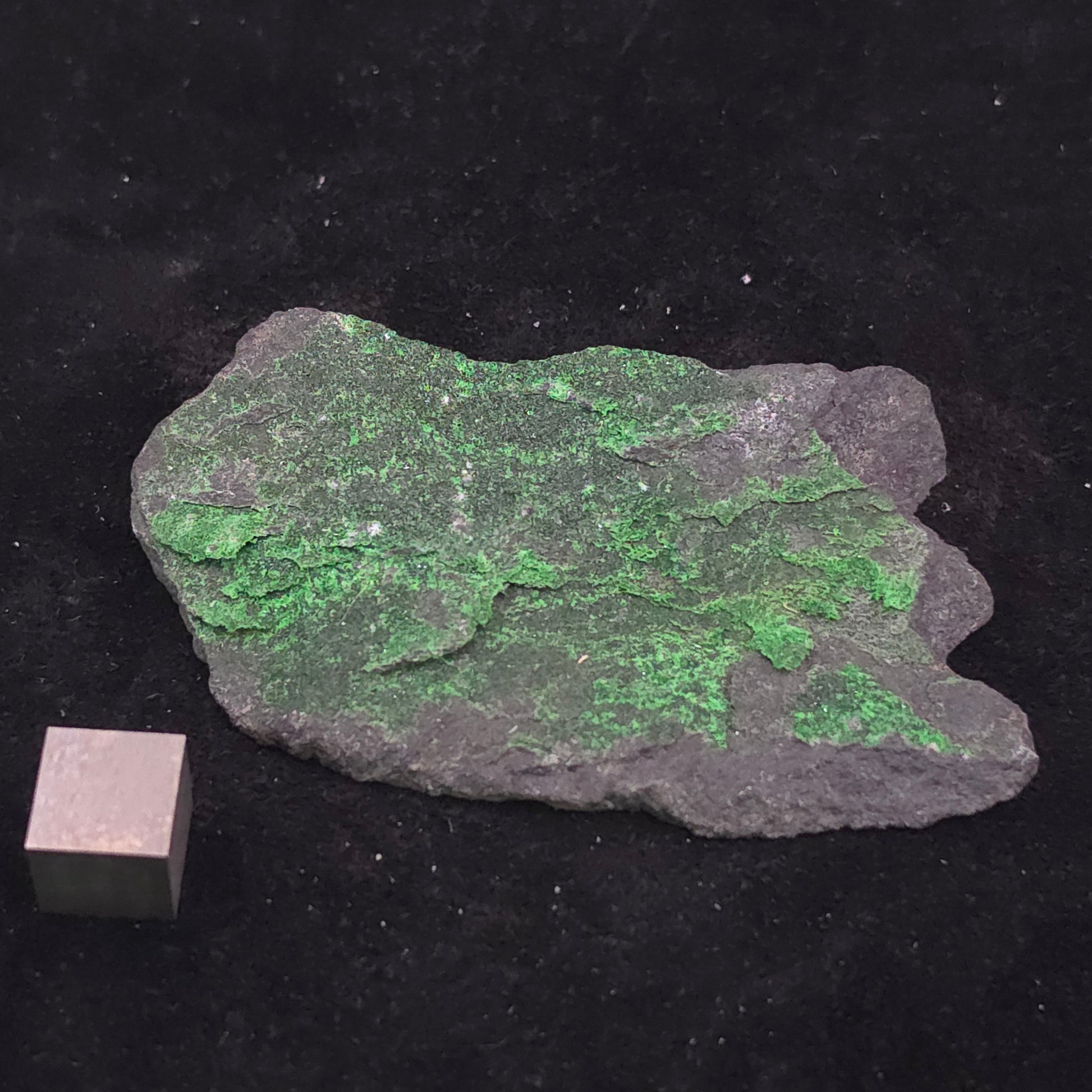 image-0