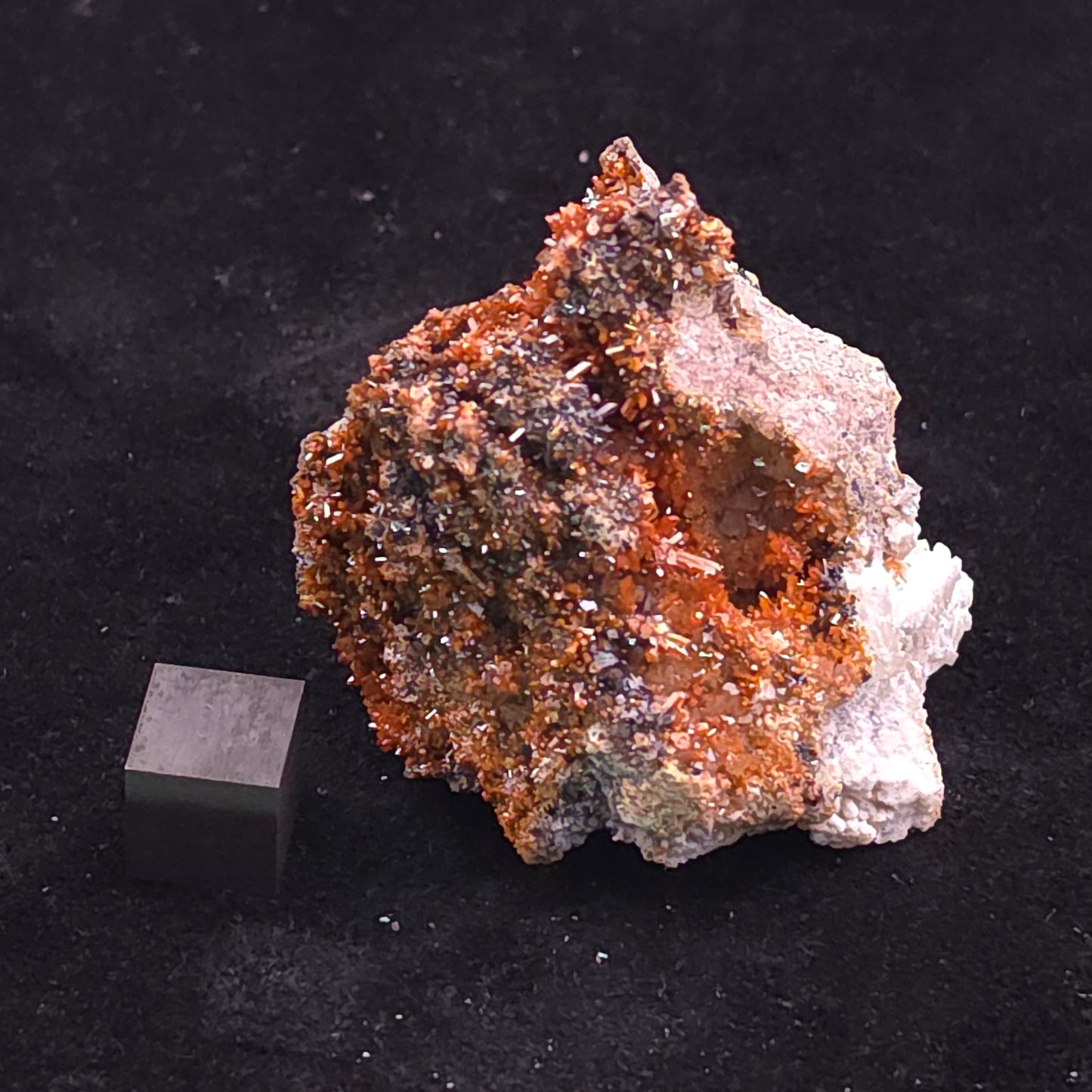 image-0