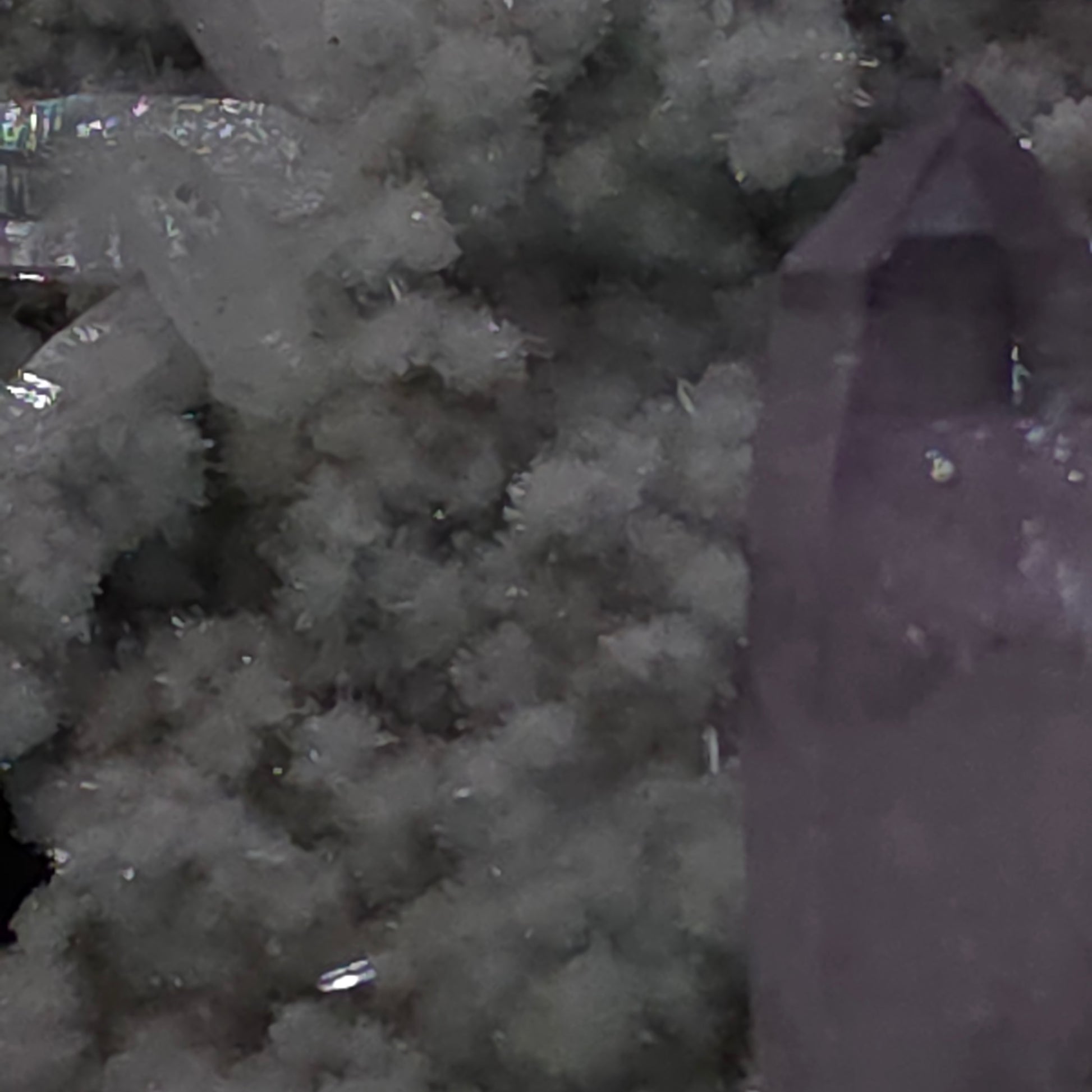 image-0