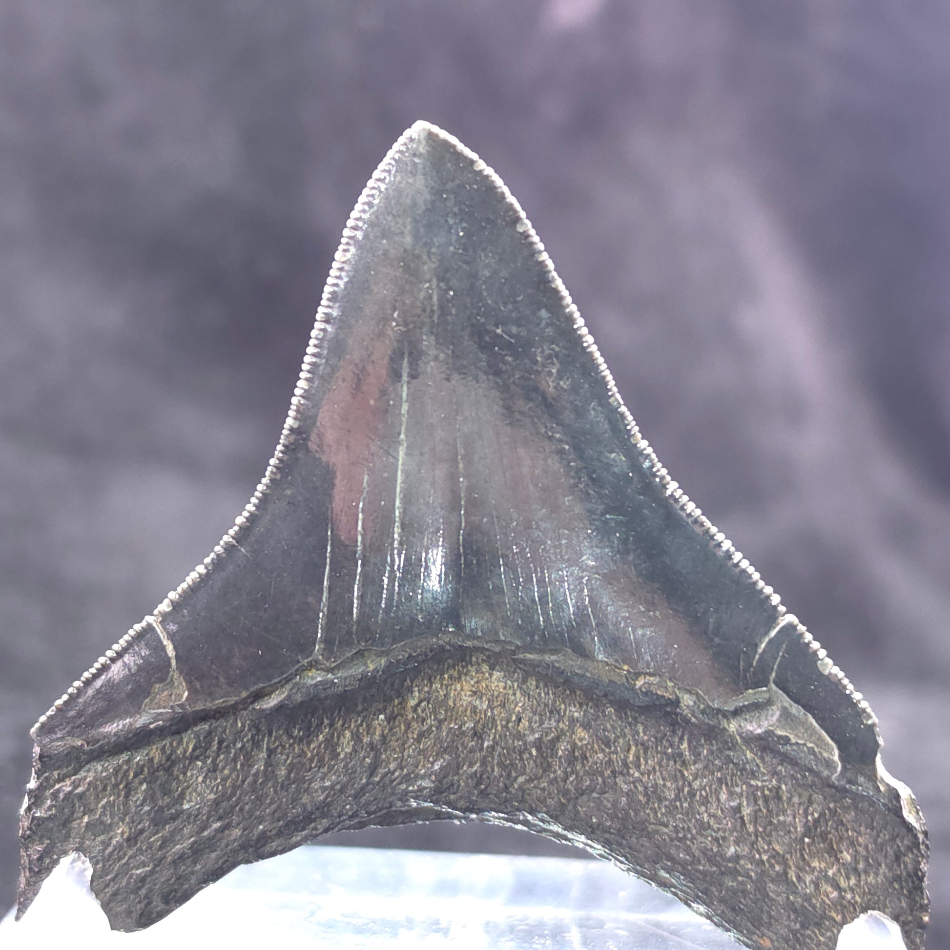 image-0