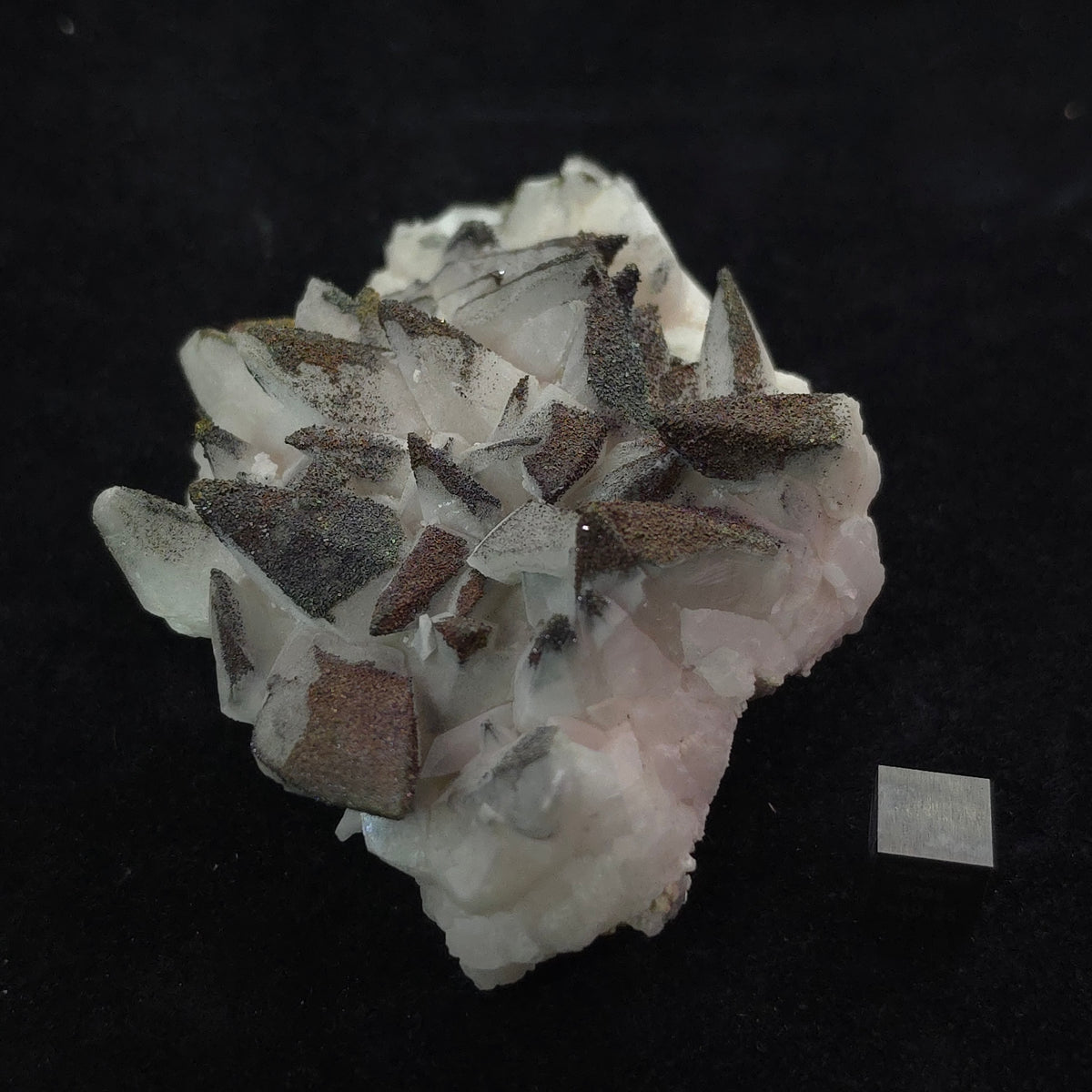 Chalcopyrite over White Dogtooth Calcite – 224g – Daye Co.