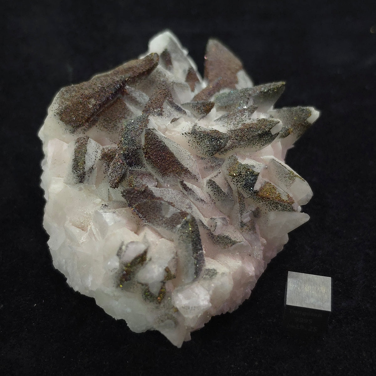 Chalcopyrite over White Dogtooth Calcite – 224g – Daye Co.