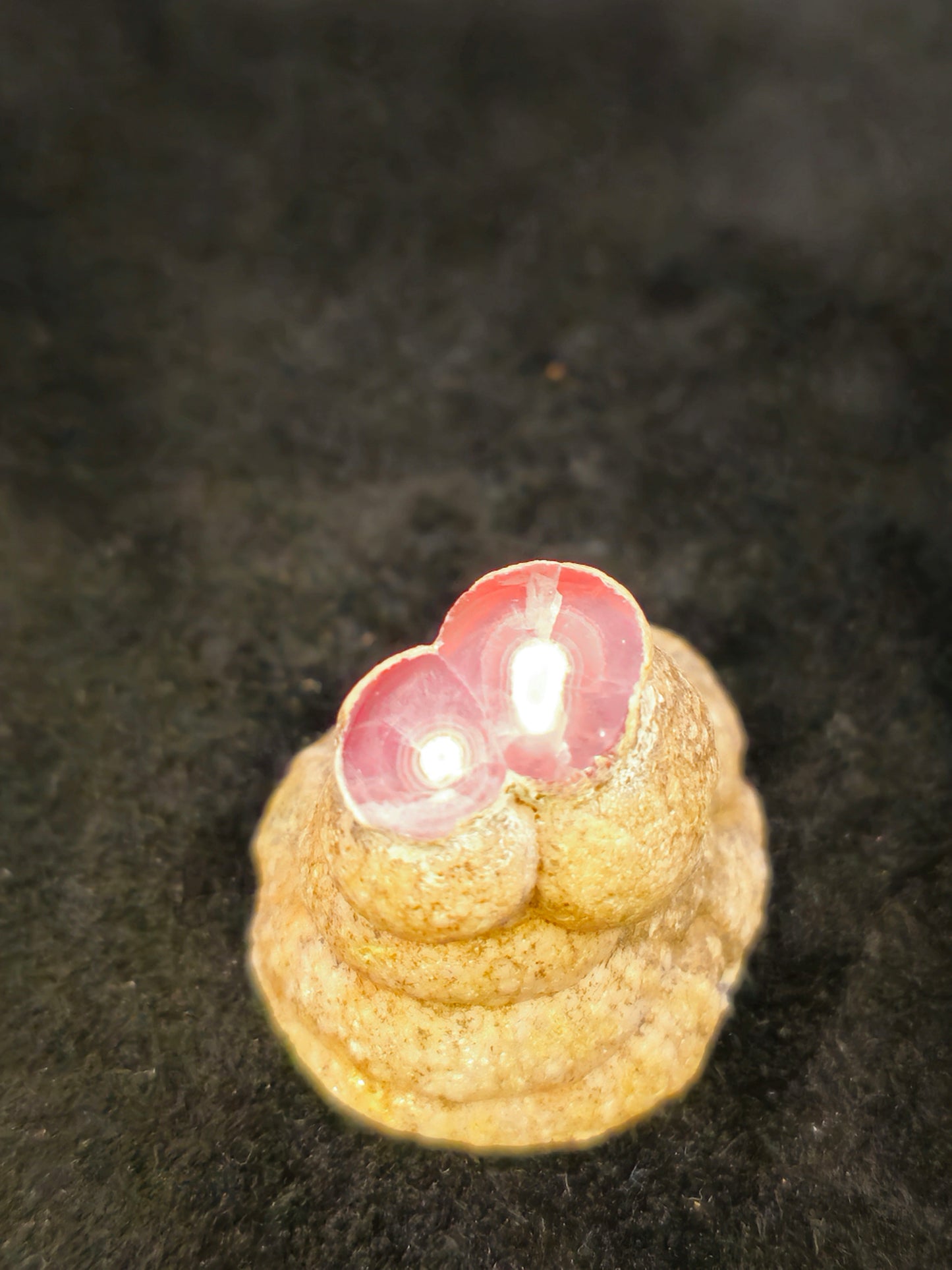 Rhodocrosite Stalactite